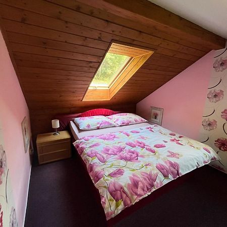 Apartmany Chřibská Екстериор снимка